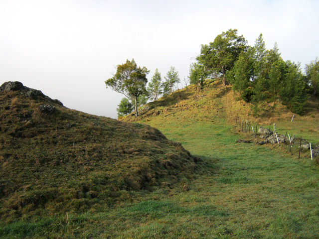 Un tertre dans les prairies, en bordure de sentier