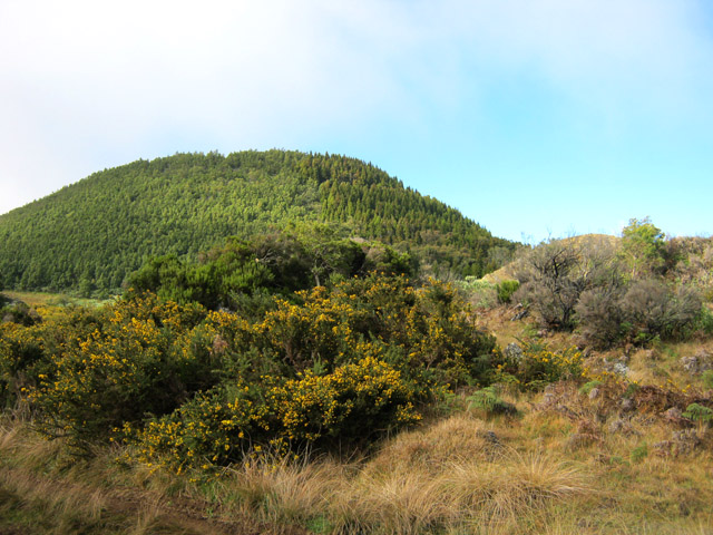 On contourne le Piton Dugain par le Nord