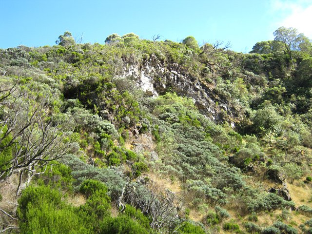 Petit coup d’œil sur les Trous Blancs au passage