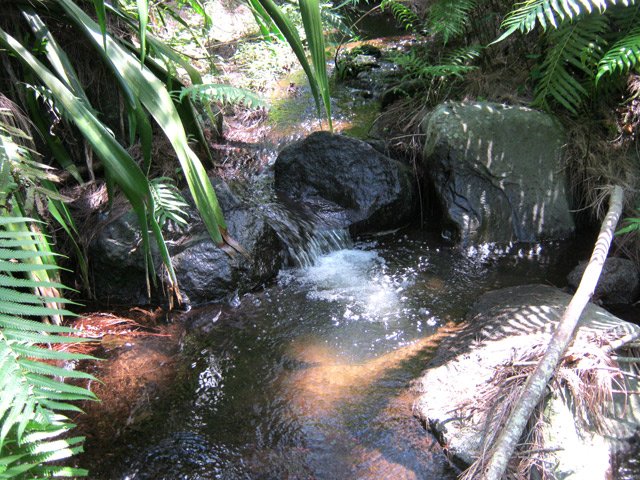Agréable petit ruisseau peu fréquenté