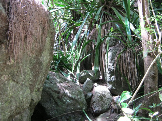 Chocas et cailloux sont au menu de la descente