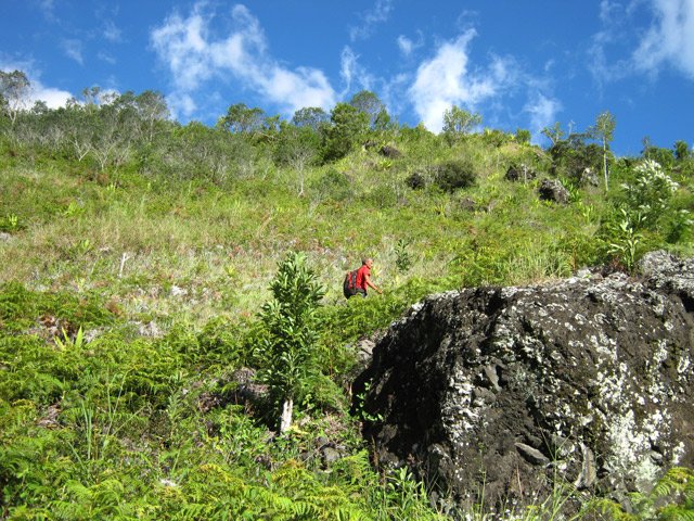 Le paysage à mi-pente près d'un gros rocher