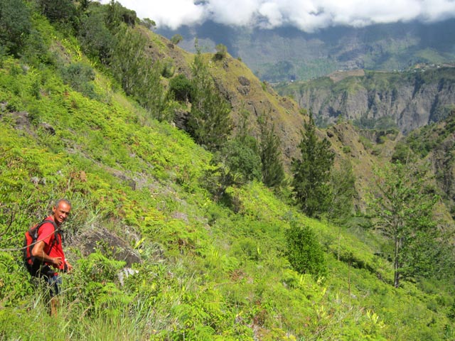 Les cents premiers mètres de la descente dans les fougères avec vue sur l'Îlet à Cordes