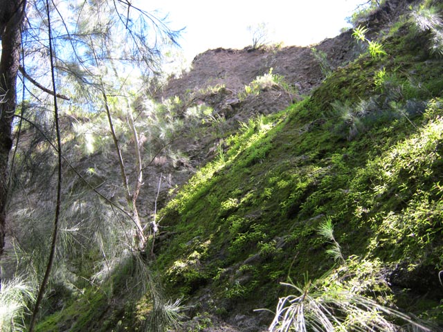 Les flancs du rempart, extrêmement friables