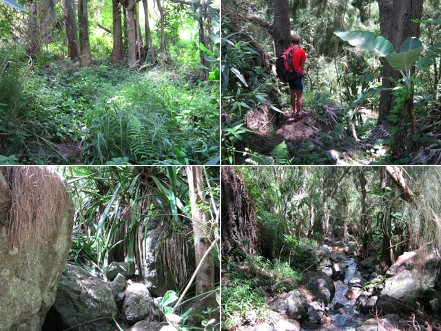 Quelques idées du sentier (ou du parcours) tout au long du parcours