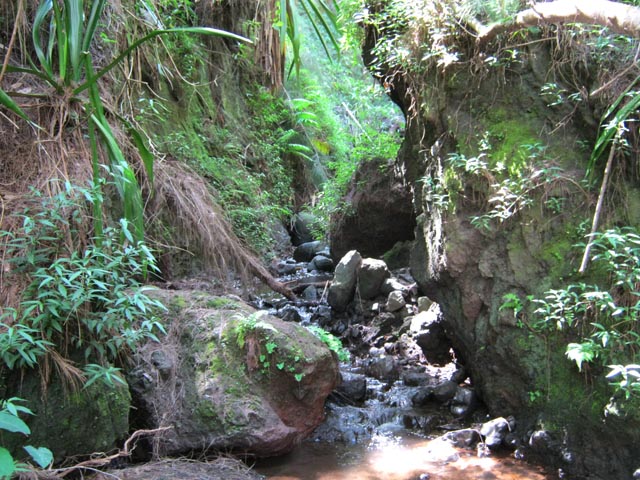 Un passage étroit de la ravine