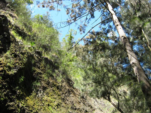 Les falaises qui bordent la ravine de la Roche Pendue