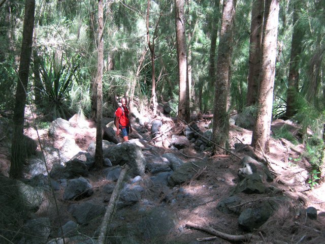 Passage sur les galets sous les filaos