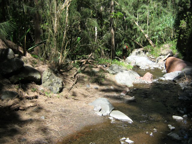On peut marcher sur les berges sur de courtes portions