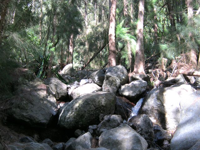 L'eau disparaît sous les gros blocs