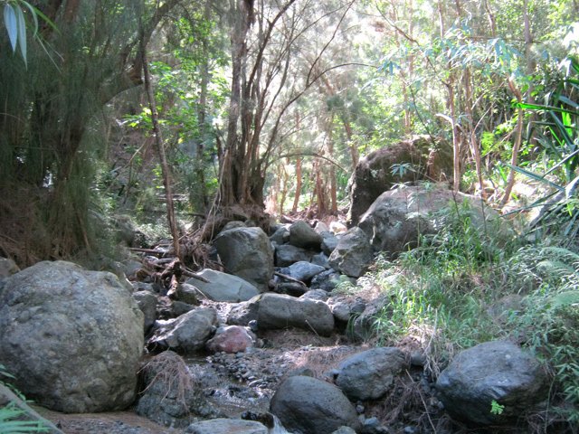 Des petits bras en eau durant les forts épisodes pluvieux