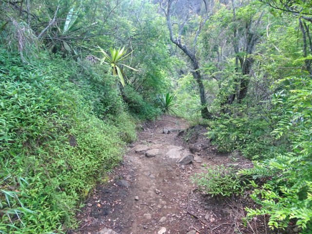 Le sentier très fréquenté vers la Cascade du Bras Rouge