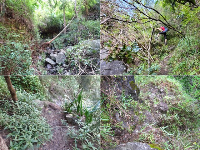 Le sentier pour atteindre le sommet est abrupt et difficile à repérer