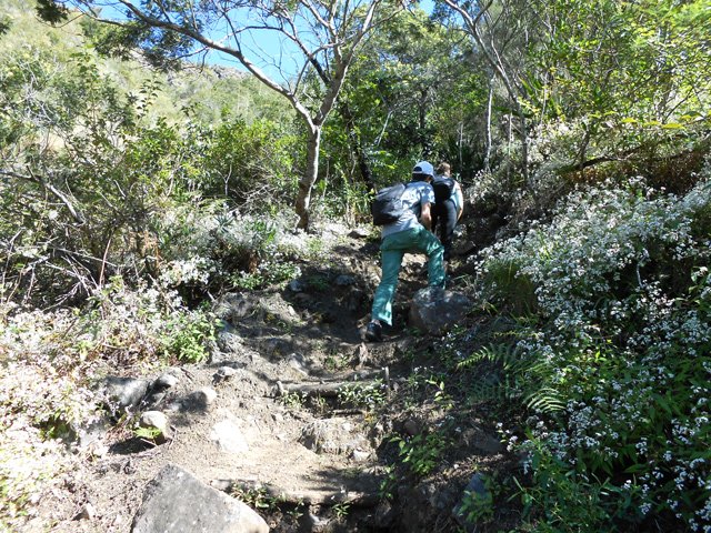 C'est penché vers l'avant que le a montée va s'effectuer
