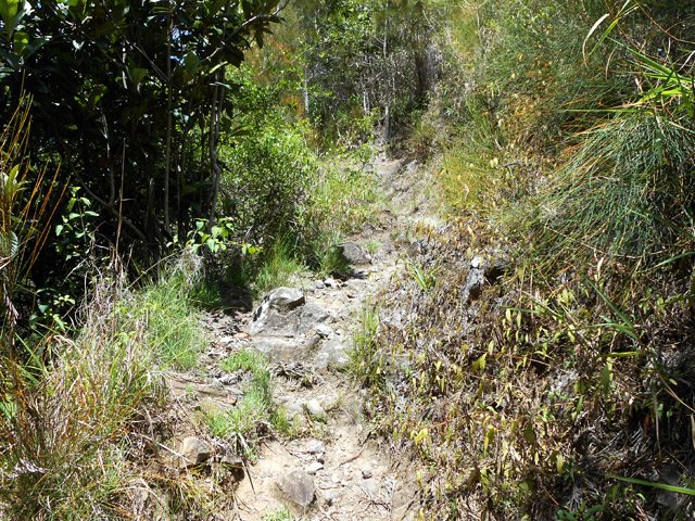 Une portion du sentier caillouteux qui monte vers le sommet du Piton Morel