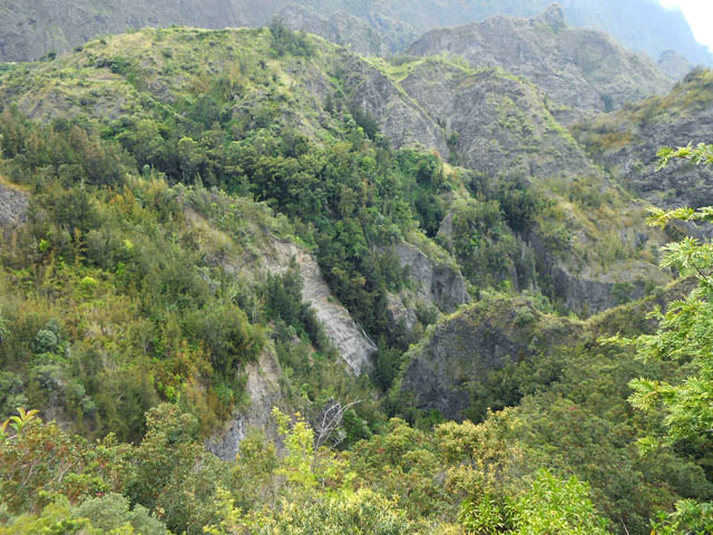 Les effondrements ont créé des zones sauvages et inaccessibles