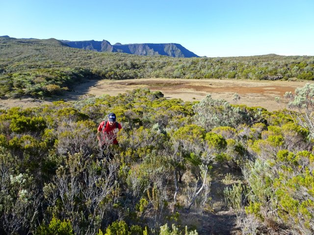 Trois sentiers assez bien marqués montent au sommet du Piton Argamasse