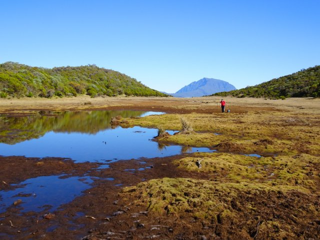 Les berges marécageuses du lac Argamasse