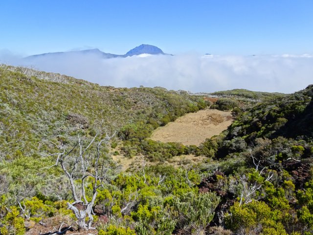 En période de sécheresse la prairie recouvre le fond du cratère