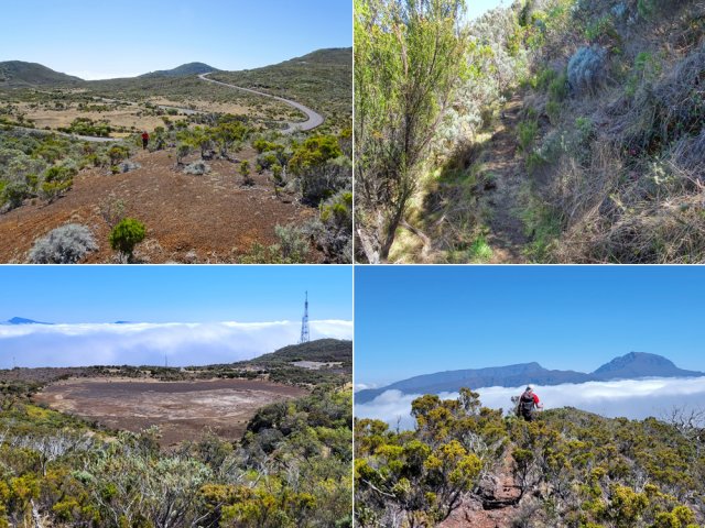 La montée au Piton de Sable est assez facile