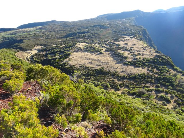 La savane au pied du Nez de Bœuf près de la vallée de la Rivière des Remparts