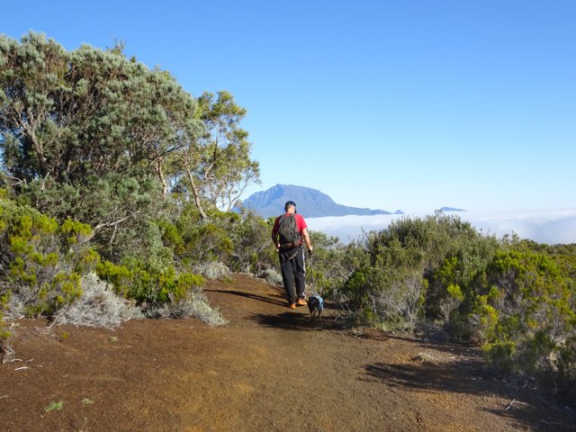 Belles portions sableuses de sentier avec vues sur le Piton des Neiges