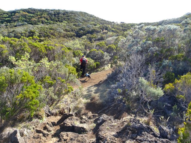 Partir à gauche sur un sentier plus discret après cette descente empierrée