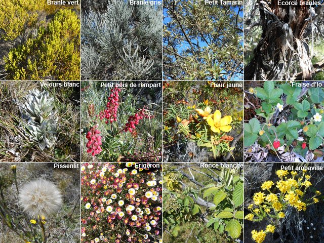Une leçon de choses pour nos marmailles qui voudront bien effectuer la boucle