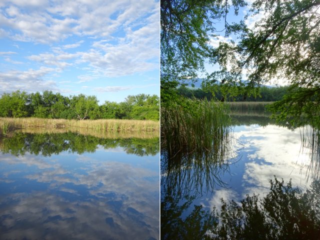 Les deux étangs issus de gravières se ressemblent