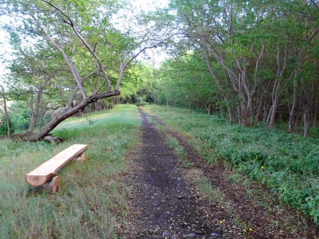 Longer les étangs sur une large piste ombragée