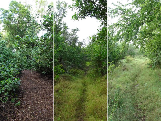 On peut emprunter le sentier partant à droite vers le belvédère