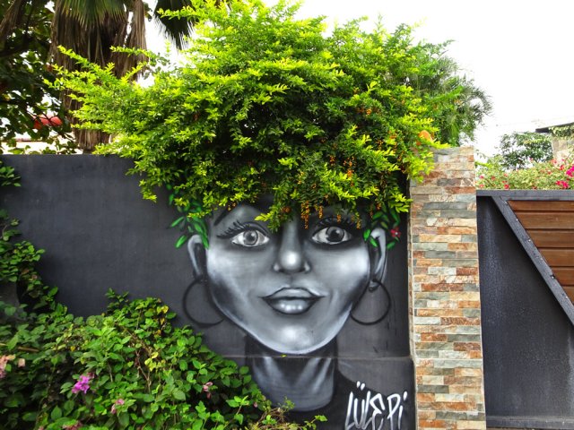 A revoir une fois l'arbuste taillé !