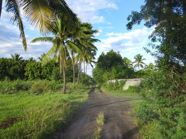 Piste parfois boueuse en direction du gué sur la Ravine du Gol