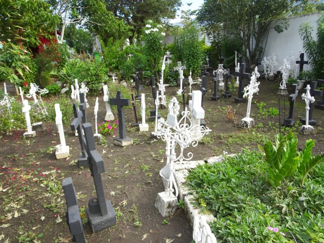 Emouvante visite du cimetière des Ames Perdues