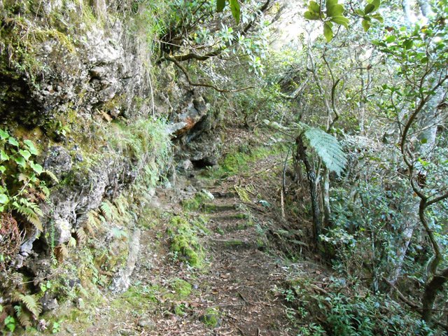 Agréable montée alternant parties plates et montées un peu fortes