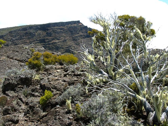 Plus on monte, plus le sol est déchiqueté