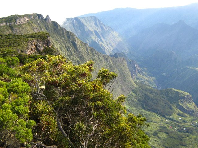 Le Maîdo est facile à reconnaître grâce à son petit pain de sucre