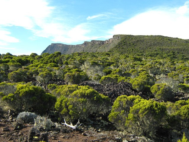 Une idée du chemin parcouru depuis le Grand Bénare