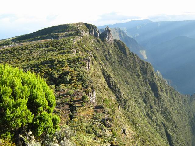 L'arrivée au parking du Maïdo