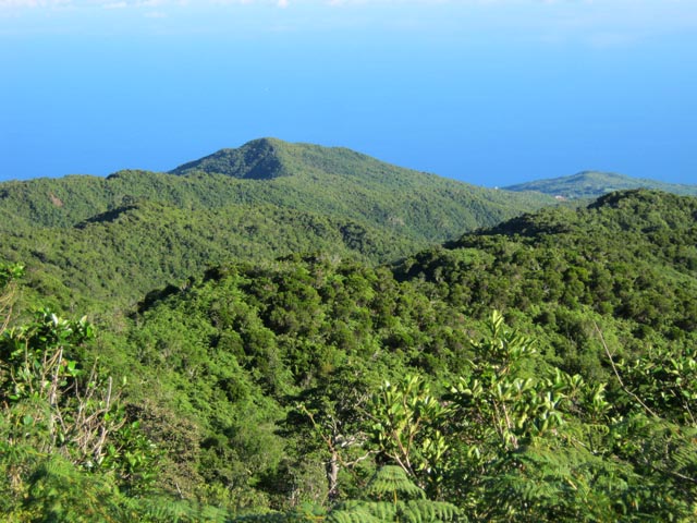 Depuis la RF, vue sur l'Océan et vers La Grande Chaloupe