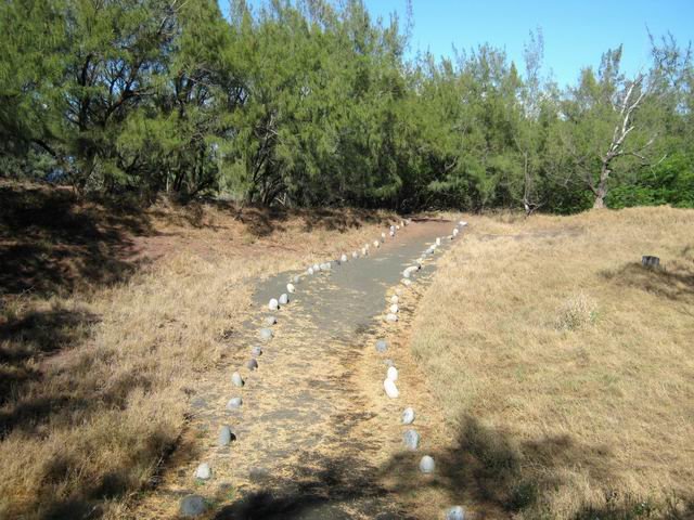 Chemin de sable sous les filaos, délimité par des galets