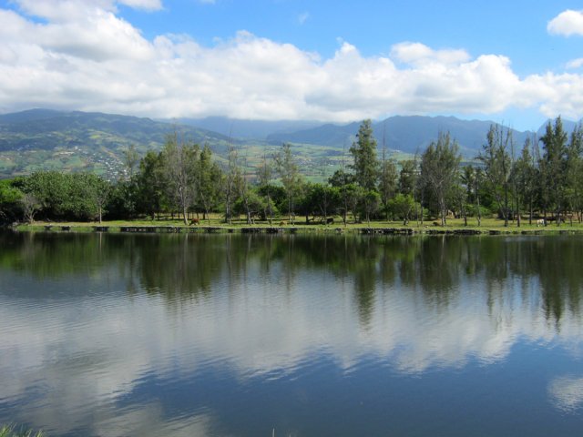 Se rapprocher de l'étang pour profiter du spectacle ou des paysages