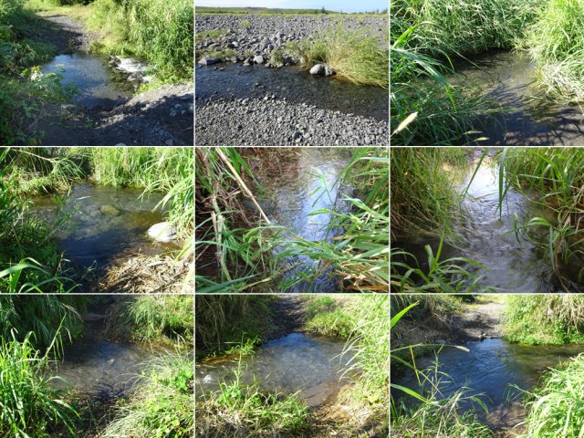 Les neuf traversées obligatoires de petits bras de la Rivière St-Etienne