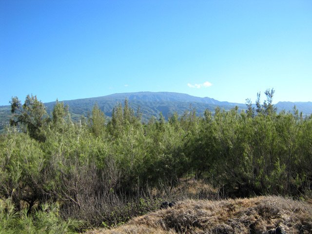 Points de vue sur les Makes et les sommets de l'île