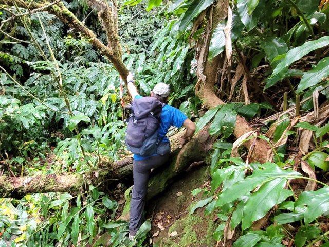 Quelques rares acrobaties pour suivre le sentier