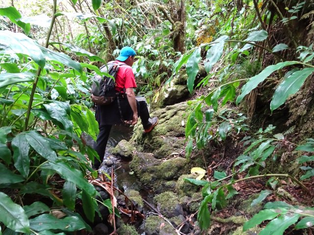 Certaines ravines ont de l'eau, Ici près d'une petite cascade