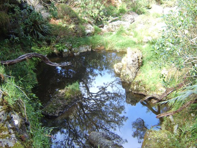 Un grande flaque en traversant une petite ravine