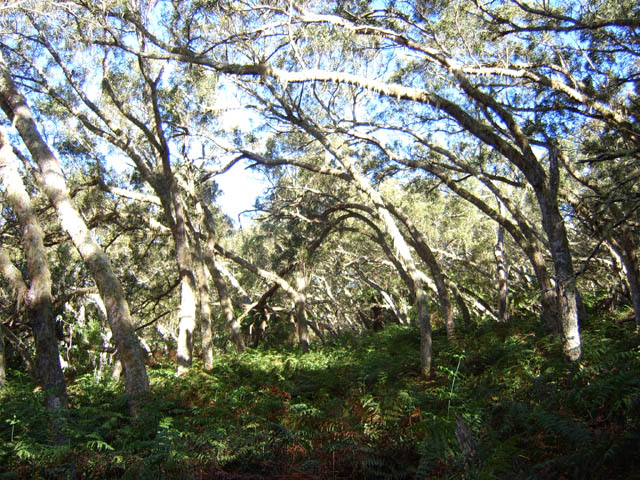 Paysage classique de la zone