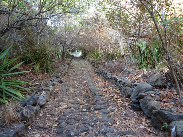 Nouvelle portion pavée dans les chocas et poivriers