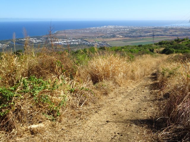 Début de la plongée vers l'étang dans les hautes herbes